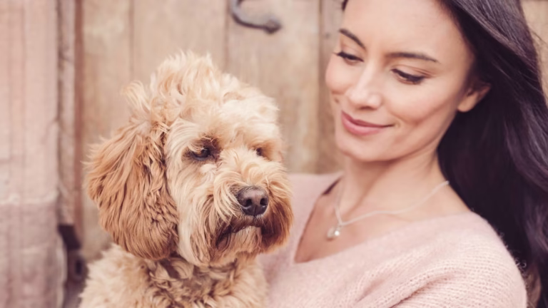 Tips for First-Time Dog Owners: 10 Must-Know Essentials