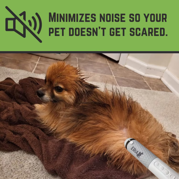 Minimizes noise so your pet doesn't get scared. (1)