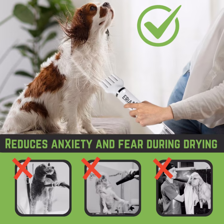 Travel Friendly Dog Dryer (6)